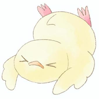 転ぶひよこ ひよこ,鳥,生き物,転ぶ,水彩,鉛筆のイラスト素材
