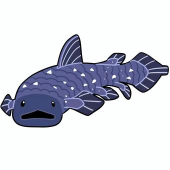 Illustration, coelacanth, ancient fish, deep sea creatures, 