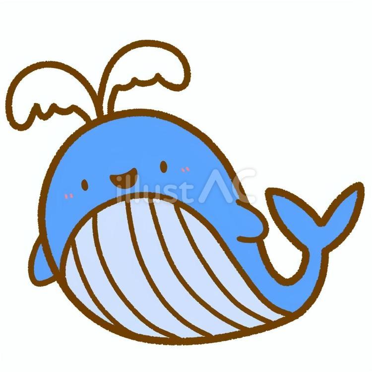 ゆるかわいい•くじらさん くじら,生き物,キャラのイラスト素材