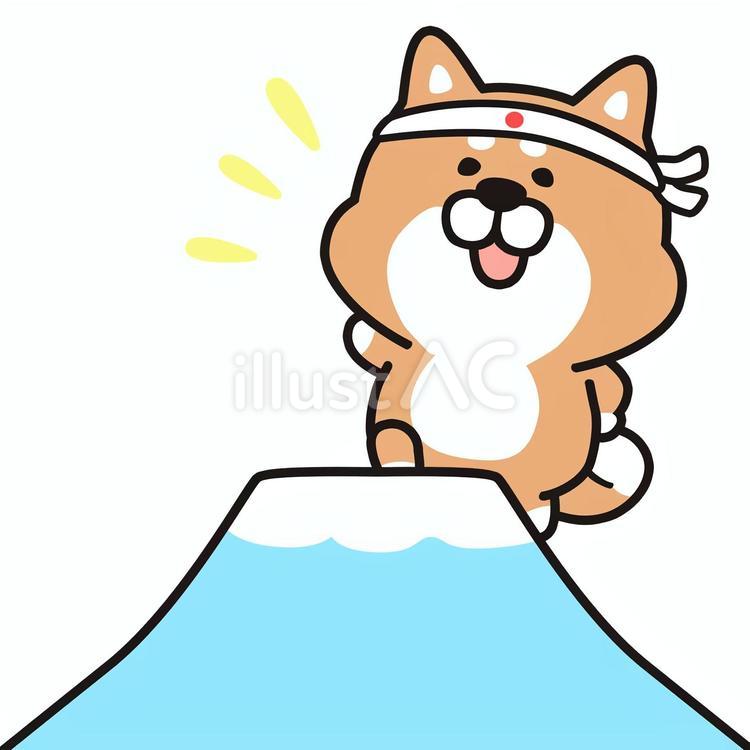 目標目指す_02 柴犬,犬,動物のイラスト素材