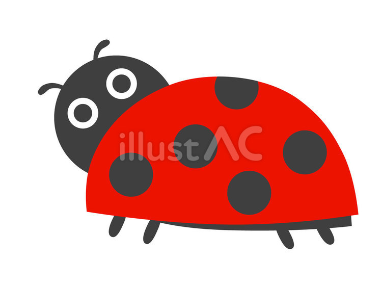 てんとう虫のイラスト てんとう虫,昆虫,水玉模様のイラスト素材