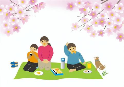 お花見の風景 桜,春,お花見,人物,レジャー,弁当,家族,犬,可愛い,やさしいのイラスト素材