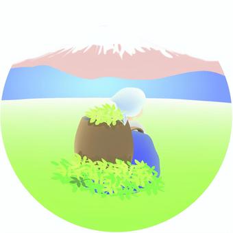 お茶摘みと富士山アイコン01/和/新茶 アイコン,日本,ワンポイント,和風,和,富士山,八十八夜,新茶,赤富士,茶のイラスト素材