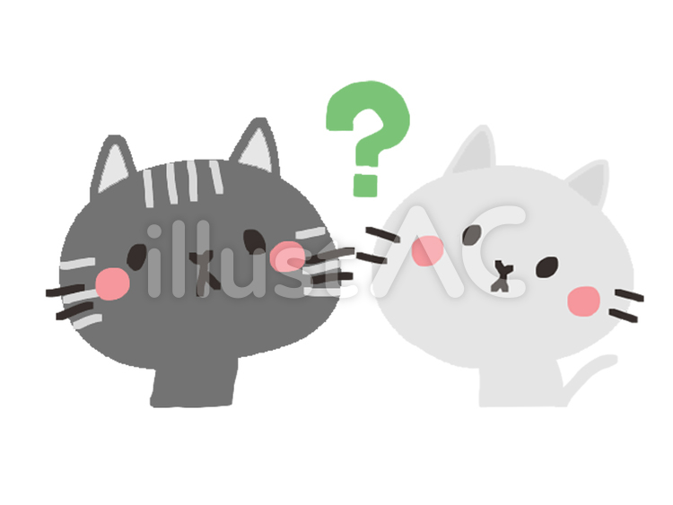 疑問に思う二匹の猫 猫,疑問,二匹のイラスト素材