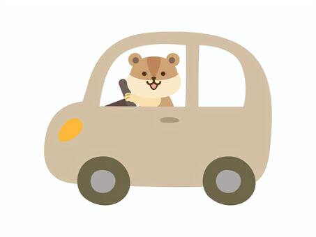 くるま_リス_ベージュ 車,動物,リス,運転,乗用車,普通車,軽自動車,自動車,乗り物,かわいいのイラスト素材
