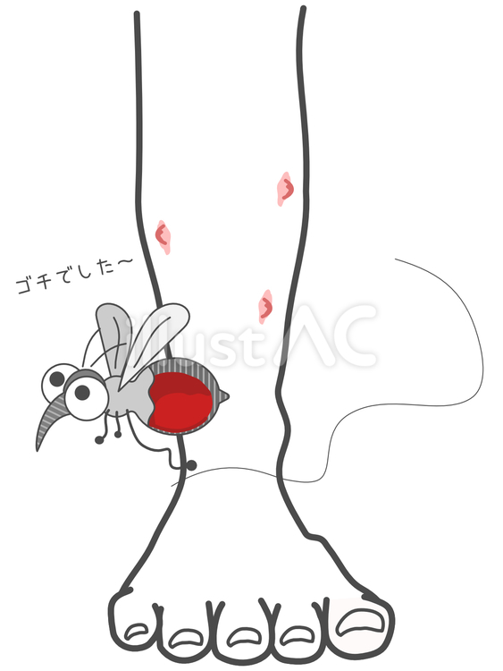 血液を一杯吸った蚊 蚊,血,血液のイラスト素材