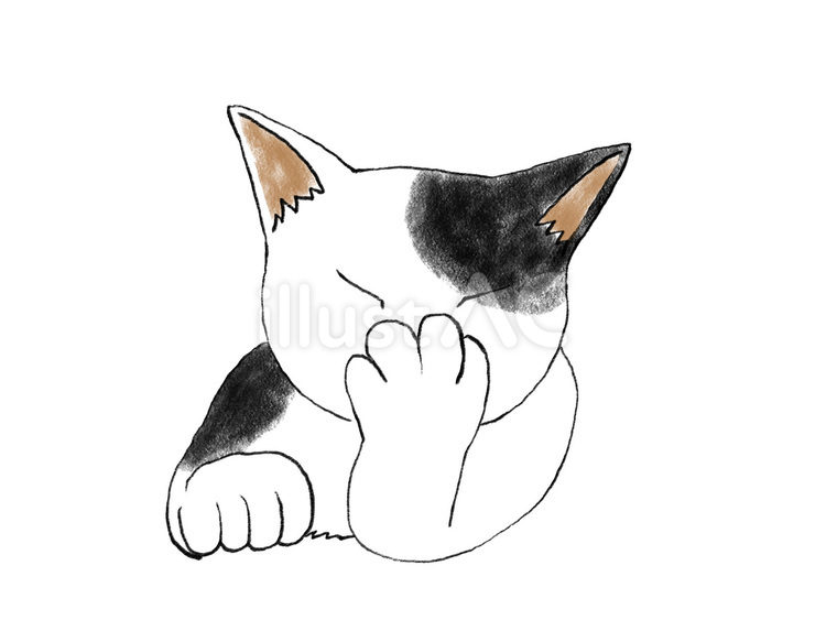 顔に手を当てる猫 猫,正面,手のイラスト素材