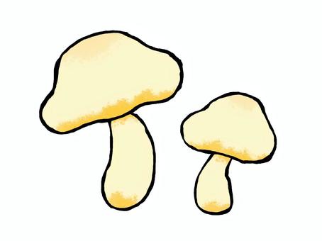 Illustration, mushroom, mushroom, white, JPG and PNG