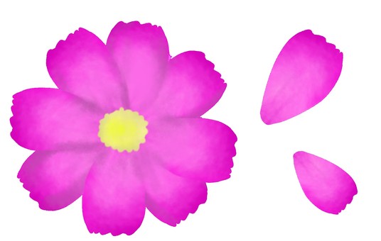 コスモスと花びら 花,コスモス,花びら,白背景,背景透過のイラスト素材