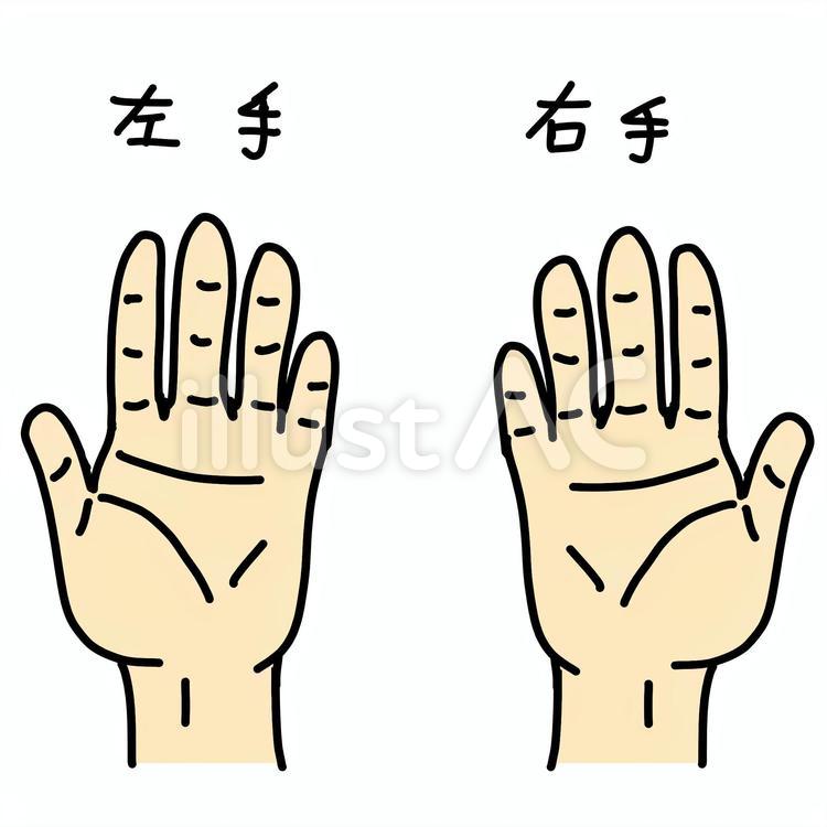 右手と左手 右手,左手,両手のイラスト素材