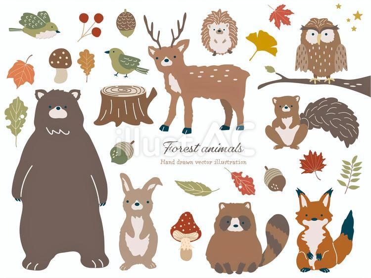 森の動物たち 動物,秋,森のイラスト素材