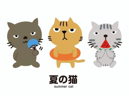 夏の猫 猫,仔猫,子猫,うちわ,浮き輪,スイカ,夏,夏休み,かわいい,キャラクターのイラスト素材