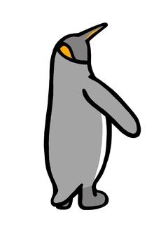 羽パタパタ　キングペンギン キングペンギン,オウサマペンギン,ペンギン,鳥,水族館,白,黒,グレー,羽,フリッパーのイラスト素材