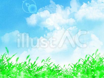 夏の青空と草原