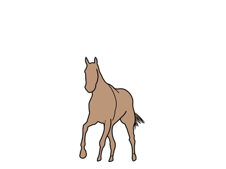 馬 馬,動物,生き物,哺乳類,サラブレッド,競走馬,野生,自然,ポニー,干支のイラスト素材