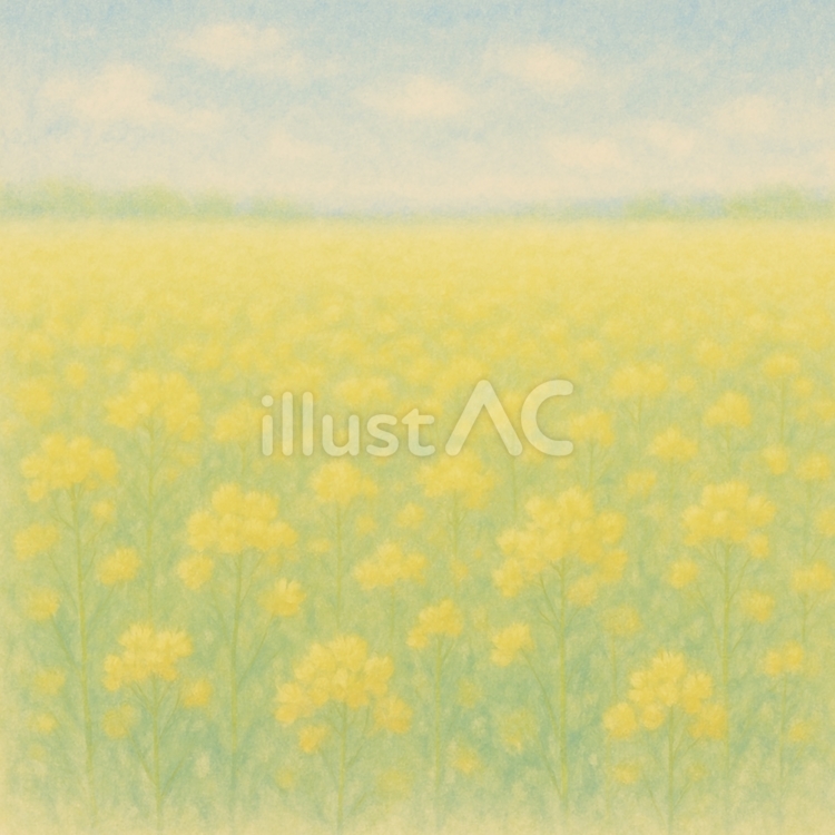 菜の花のある春の風景 菜の花,春,花のイラスト素材