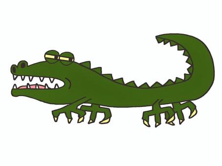 Illustration, crocodile, to glare at, mouth, 