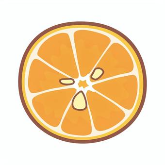 輪切りみかんの断面 輪切りみかんの断面 みかん,輪切り,断面,種,カット,果物,切り方のイラスト素材