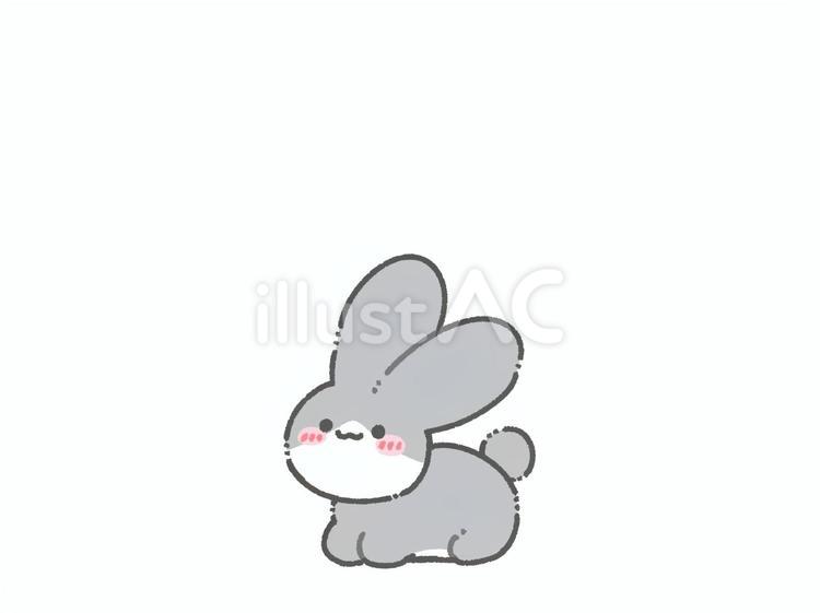 伏せているハチワレうさぎ 動物,うさぎ,ハチワレのイラスト素材