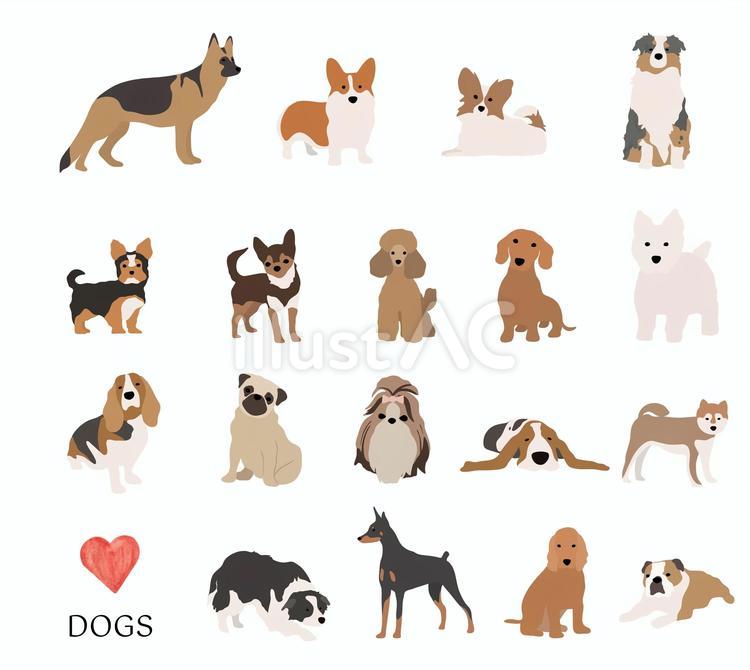 いろいろな犬 犬,犬種,ペットのイラスト素材
