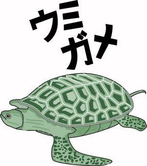 ウミガメ ウミガメ,亀,爬虫類,甲羅,泳ぐ,リアル,カタカナ,線画のイラスト素材