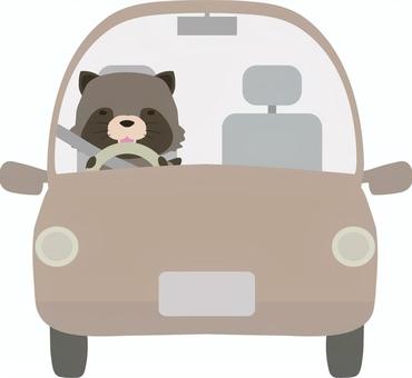 ドライブ_狸_笑顔 車,運転,笑顔,動物,かわいい,ドライブ,たぬきのイラスト素材