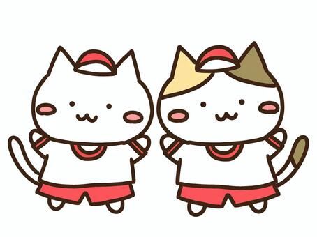 体育着で友達と運動するかわいいねこ達 体育着,ねこ,体育,体操,運動,運動会,スポーツ,準備,トレーニング,学校のイラスト素材