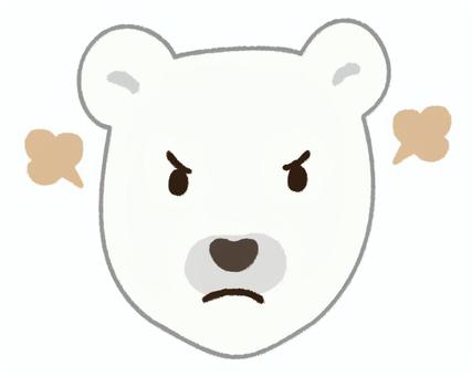 プンプンと怒った顔をする可愛い白熊の顔 白熊,顔,怒る,怒り,動物,動物園,かわいい,表情,不機嫌,不満のイラスト素材