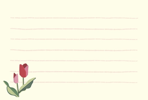 チューリップのポストカード横（横罫線）