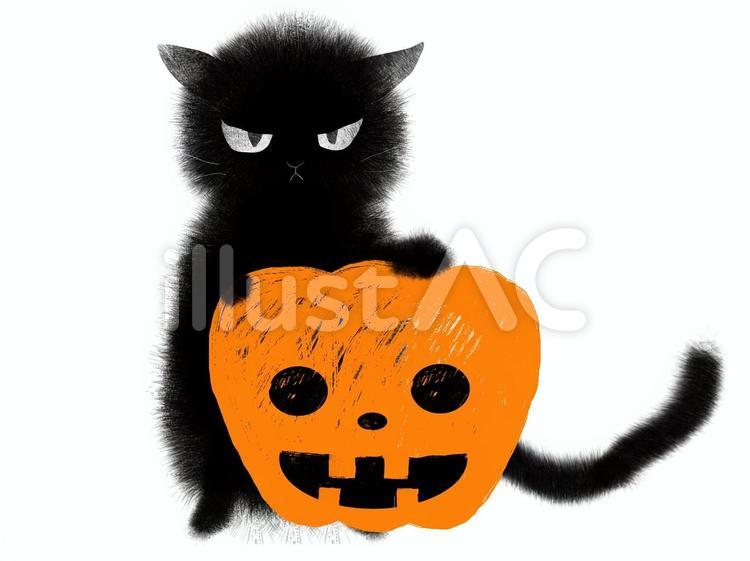 ハロウィンのカボチャと怒った顔の黒猫 黒猫,カボチャ,ハロウィンのイラスト素材