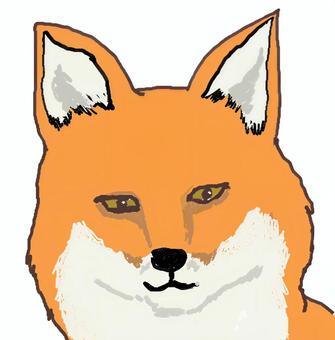 キツネの顔 狐,野生,オレンジ,顔,動物園のイラスト素材