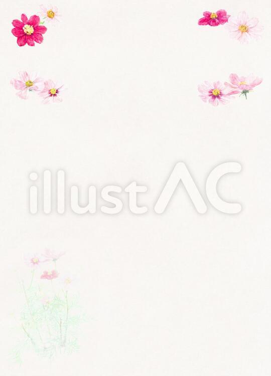 【手書き＆和紙】　コスモスの背景 コスモス,こすもす,花のイラスト素材
