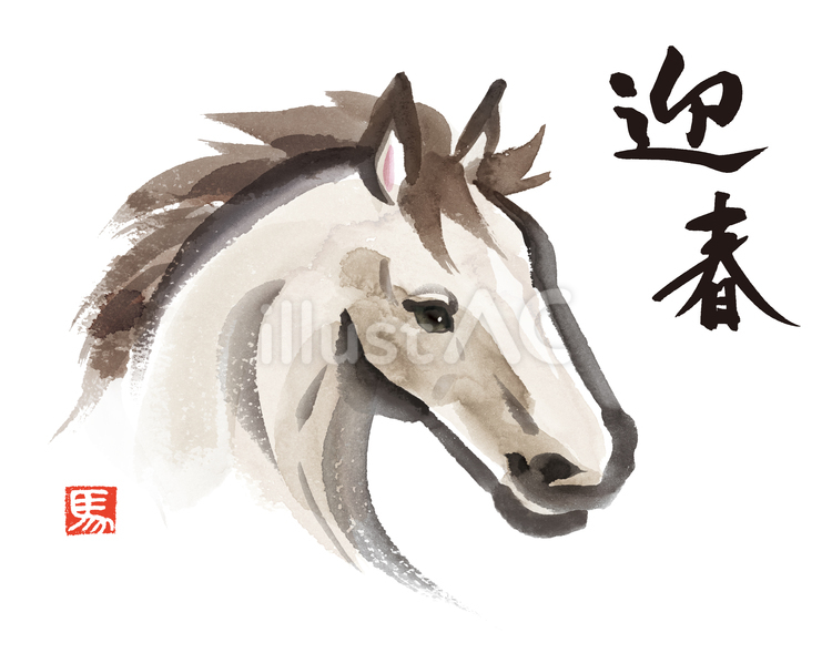 手描き水彩画　午年　年賀状用馬の顔 年賀状,午,午年のイラスト素材