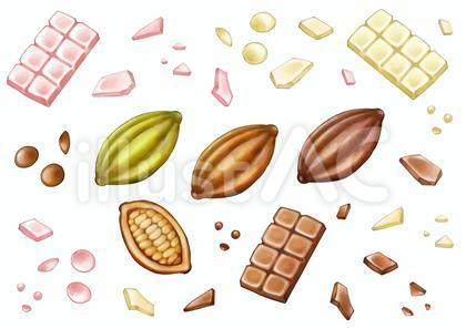 カカオとチョコレート