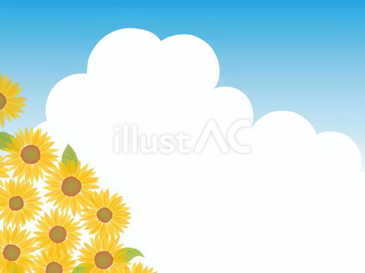 ひまわりと夏空と夏雲 ひまわり,向日葵,青空のイラスト素材