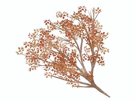 木の枝D 赤 木の枝D 赤 木,枝,葉,赤,紅葉,樹木,街路樹,広葉樹,並木,植物のイラスト素材