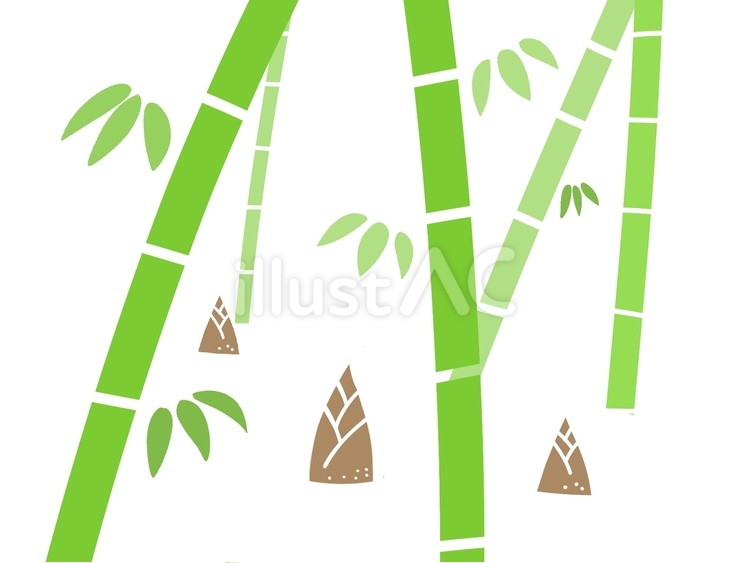 植物　竹林と筍 竹,青竹,竹林のイラスト素材