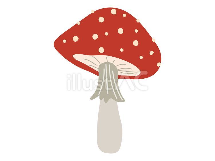 きのこ キノコ,茸,菌糸類のイラスト素材