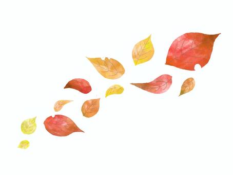 風で舞う葉っぱ　秋　水彩イラストセット 葉っぱ,風,舞う,手描き,素朴,水彩,軽やか,流れ,落ち葉,秋のイラスト素材