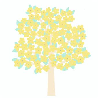 Yellow flowering tree, JPG and PNG Yellow flowering tree, flower, wood, beautiful, JPG and PNG