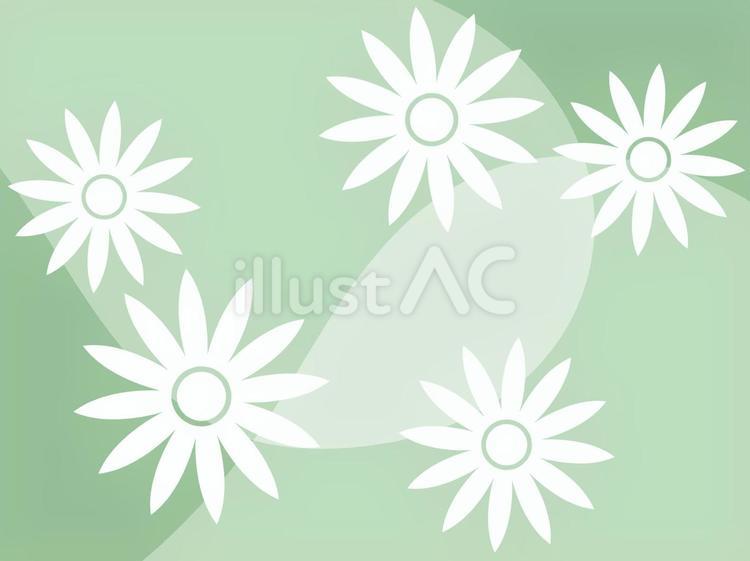 白いお花模様の壁紙画像 花,壁紙,シンプルのイラスト素材