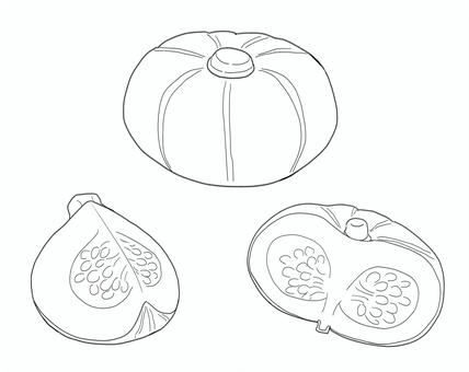 かぼちゃの線画 食べ物,かぼちゃ,野菜,食材,実,南瓜,夏,秋,夏野菜,断面のイラスト素材