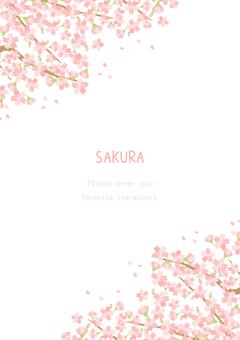 優しい桜の花の背景イラスト 桜,春,植物,背景,花,自然,ナチュラル,ほのぼの,ほんわか,かわいいのイラスト素材