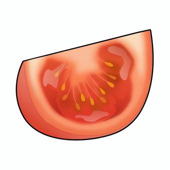 くし形切りにしたトマトのリアルイラスト くし形切りにしたトマトのリアルイラスト トマト,夏野菜,くし形切り,野菜,リコピン,栄養,健康,献立,食育,メニューのイラスト素材