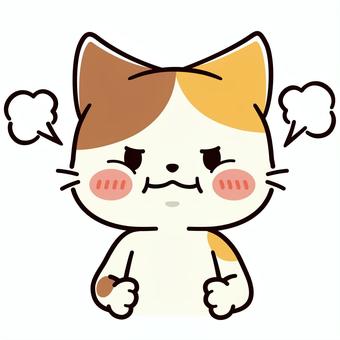 頬を膨らませてプンプン怒る可愛い三毛猫 猫,怒る,頬を膨らませる,プンプン,トラブル,腹が立つ,感情,表情,不機嫌,ムカつくのイラスト素材