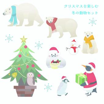 クリスマスを楽しむ冬の動物セット 冬,フクロウ,ペンギン,アザラシ,シロクマ,動物,可愛い,北欧風,冬の動物,優しい色合いのイラスト素材