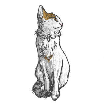 猫横向き ねこ,かわいい,手描き,ラフ,もふもふのイラスト素材