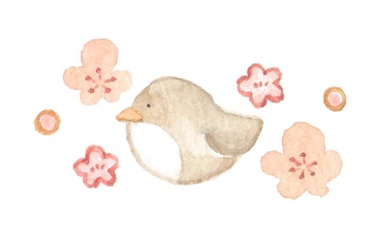 春　鳥とお花 春,鳥とお花,とり,お正月,正月,トリ,鳥,動物,はな,お花のイラスト素材