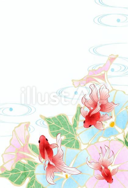 SummerCard24111
