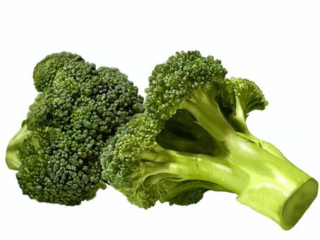 ブロッコリーのイラスト　４ ブロッコリー,緑黄色野菜,野菜,リアル,食材,挿絵,手描き,手書き,カット,写実のイラスト素材